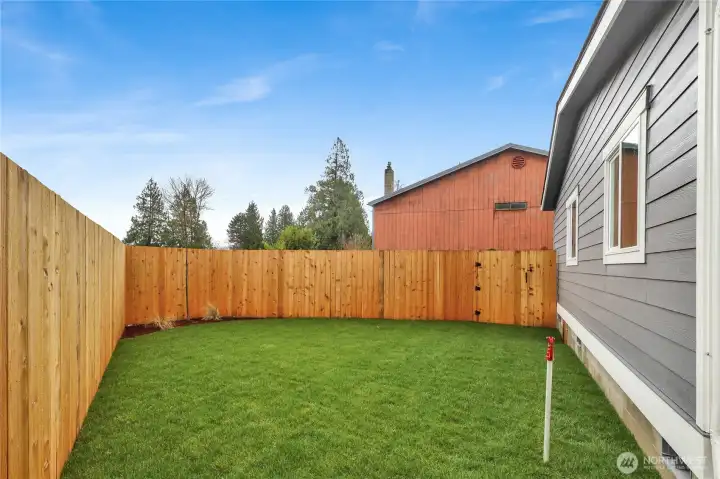 Fenced backyard space