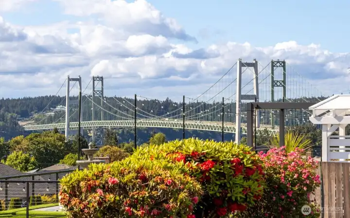 Views of Narrows Bridge