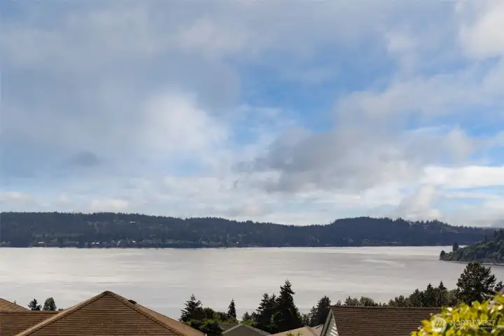 Views of Puget Sounds and Olympic Mountains
