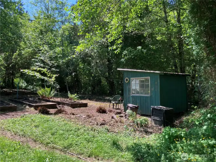 Garden with shed Garden with shed