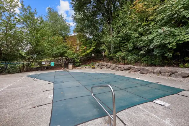 Outdoor Swimming Pool in the Cabana.