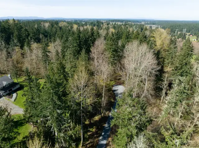 Great overhead shot of the access road. Property sits behind home on left.