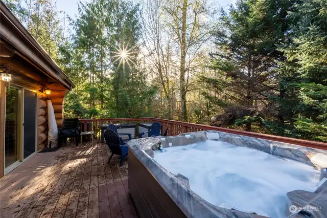 Newer Hot Tub