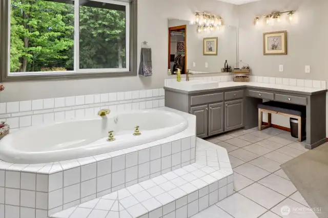 vanitey and step in tub