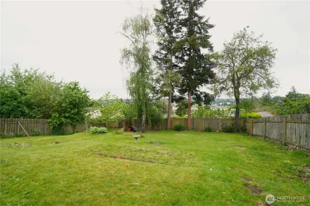 Large backyard