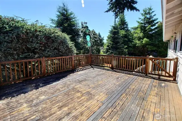 Sundrenched deck with stairs to the backyard.