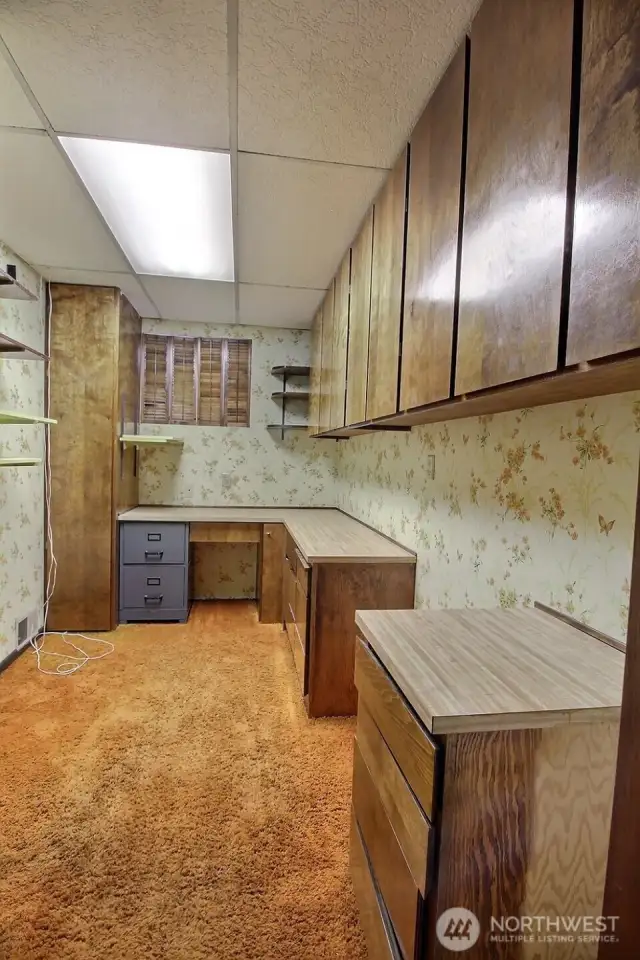Lower level den/office.
