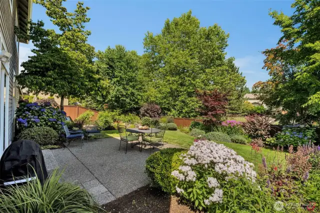 Large patio with cutting garden and evergreen shrubs.  Interest year round.