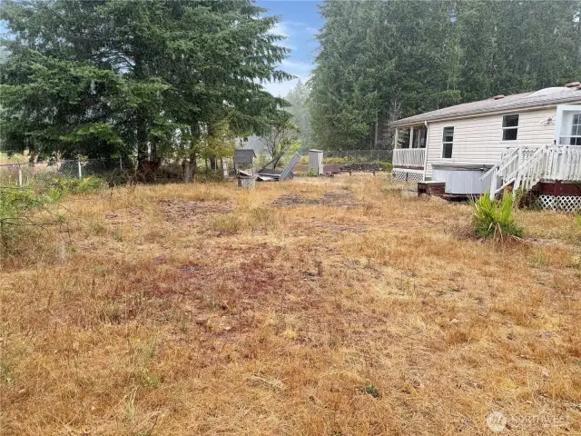 Back yard