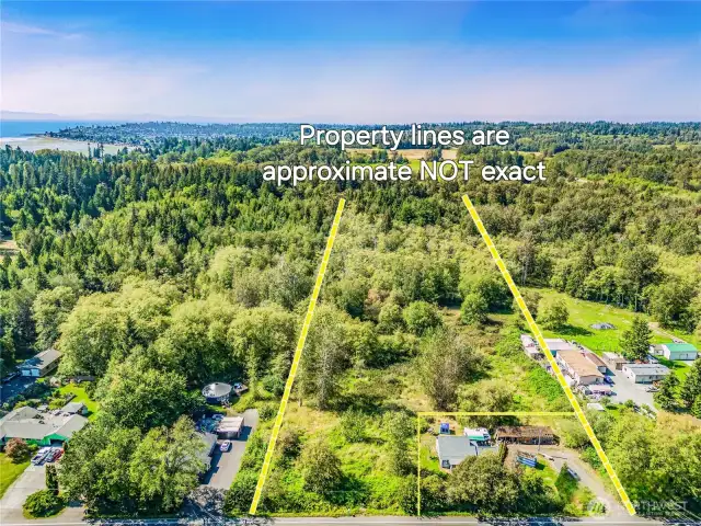 Builder/Investor Alert!  Being in UGA with water and sewer in street - possible subdivision i.e. multiple homes with critical areas mitigation due to impact of drawing in services. i.e. access, water/sewer/power.