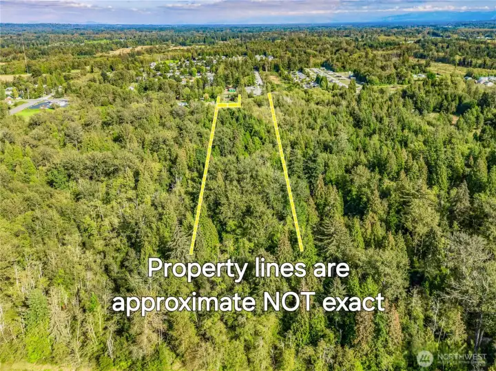 Heavily forested western 2/3 of property.