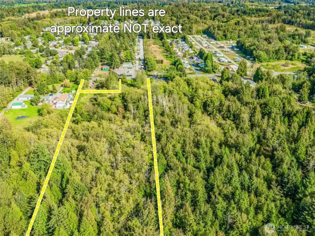 Critical areas at front access portion of property.