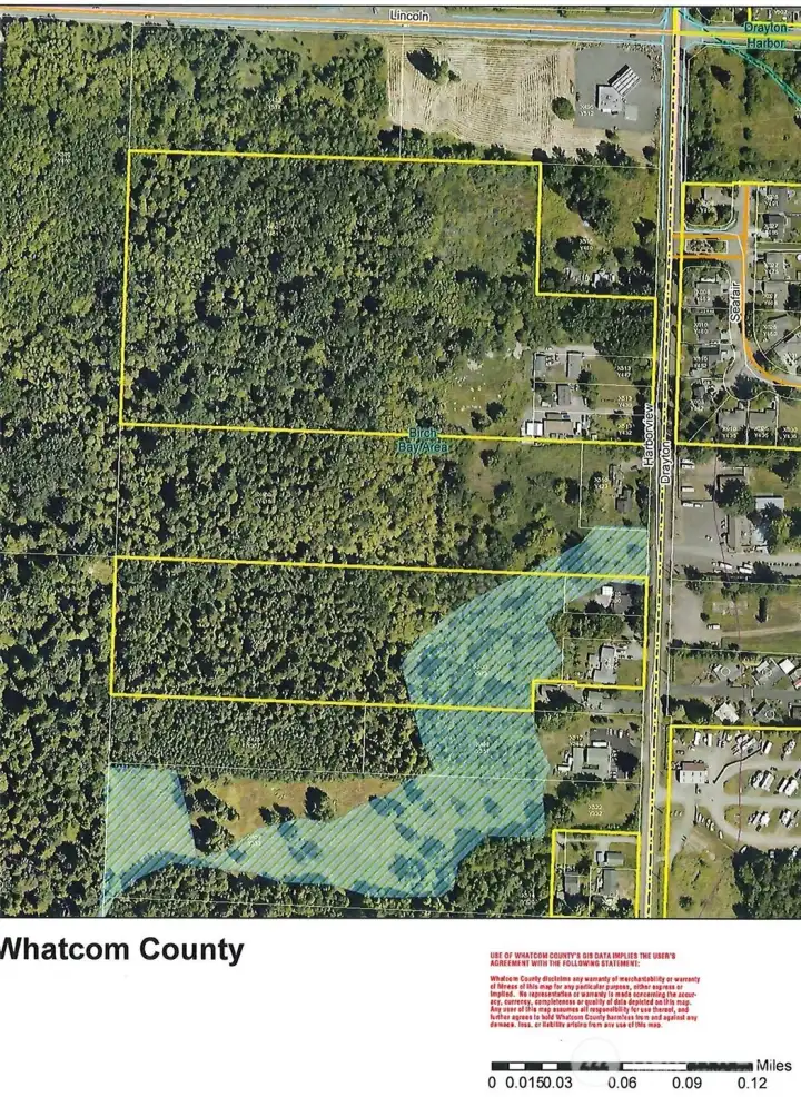 Parcel in middle between yellow outlined acreage neighbors shows suspected wetlands at front (east) portion of property.