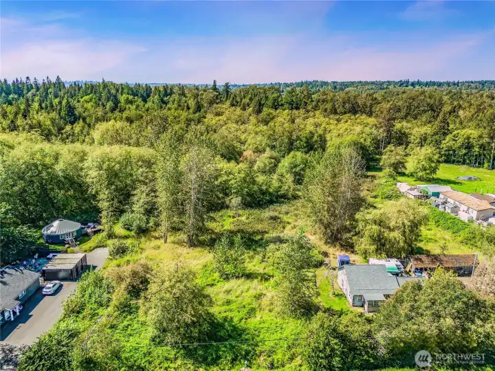 Wetlands more prevalent at front third of parcel.