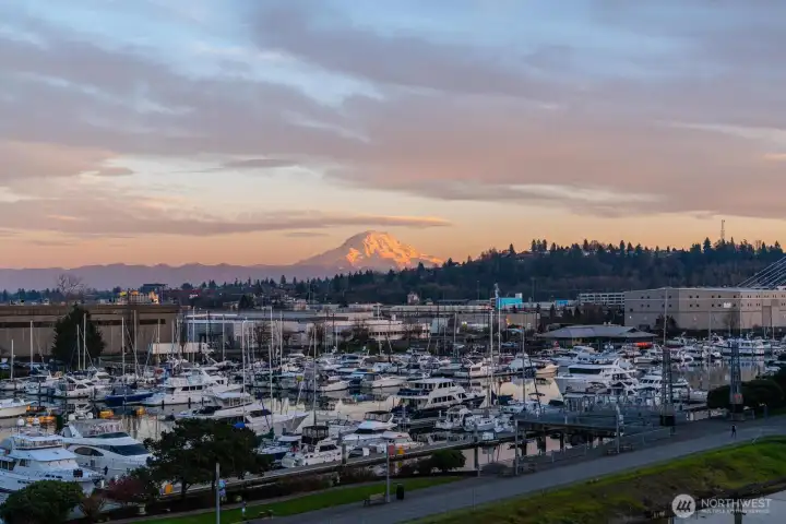 Views from the deck truly don't get any better!