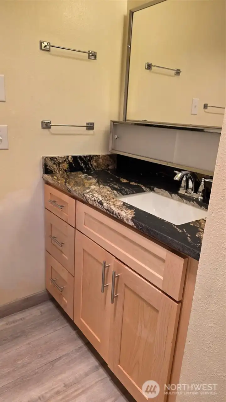 Renovated Bathroom Unit 4