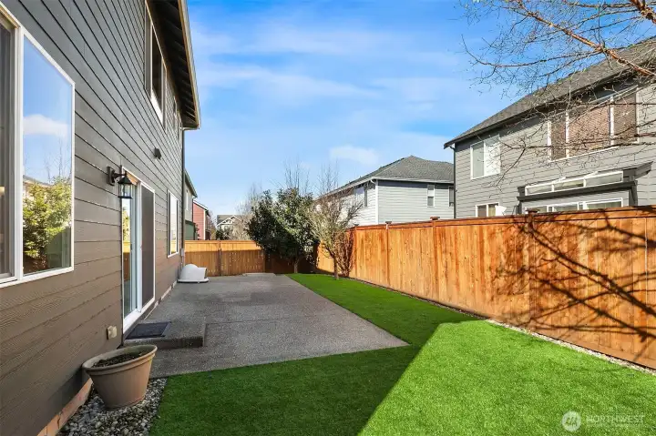 Backyard with Turf
