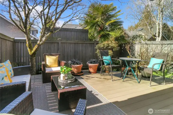 Deck in fenced backyard