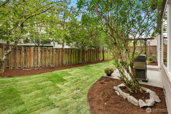 New sod and landscaping!
