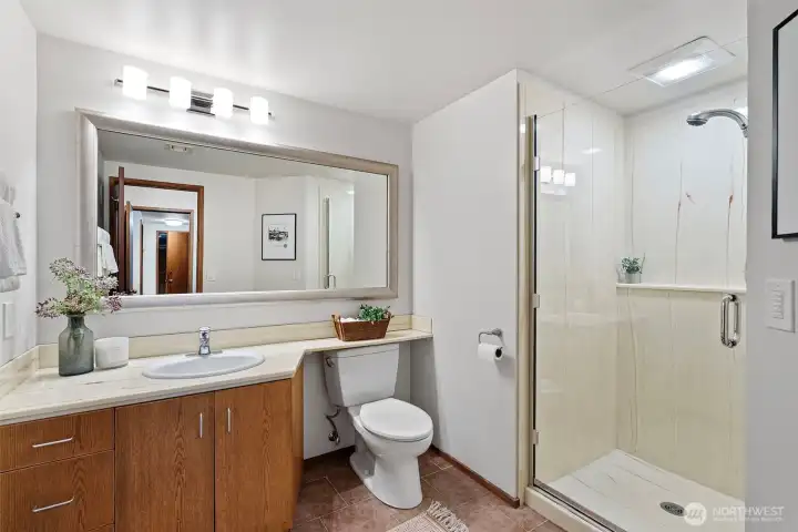 Lower level bathroom with shower