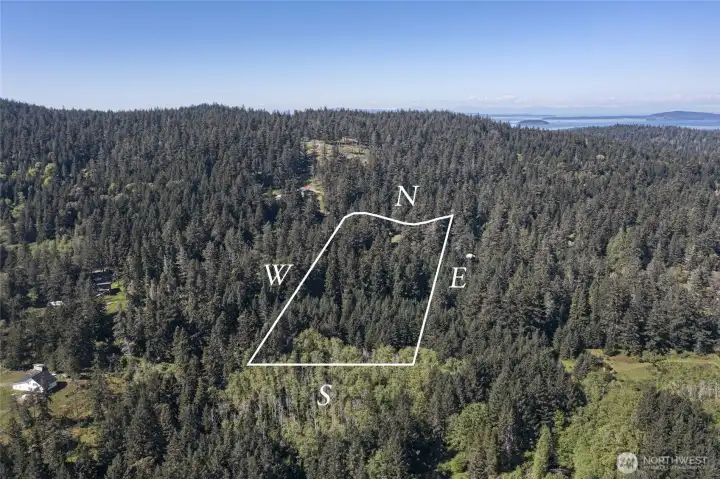 Aerial view showcasing the 6.4± acre San Juan Island property, surrounded by evergreen forest with expansive territorial views and glimpses of the Olympic Mountains.