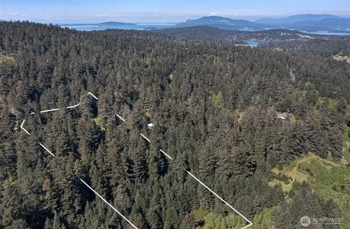 Elevated homesite potential with sunny exposure, mature firs, and stunning territorial and mountain vistas across San Juan Island.