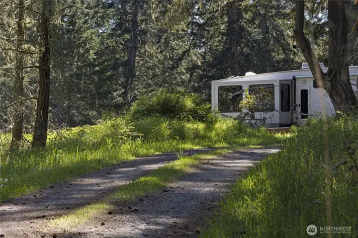 Private drive access winds through the trees, creating a welcoming entrance to this secluded island acreage.