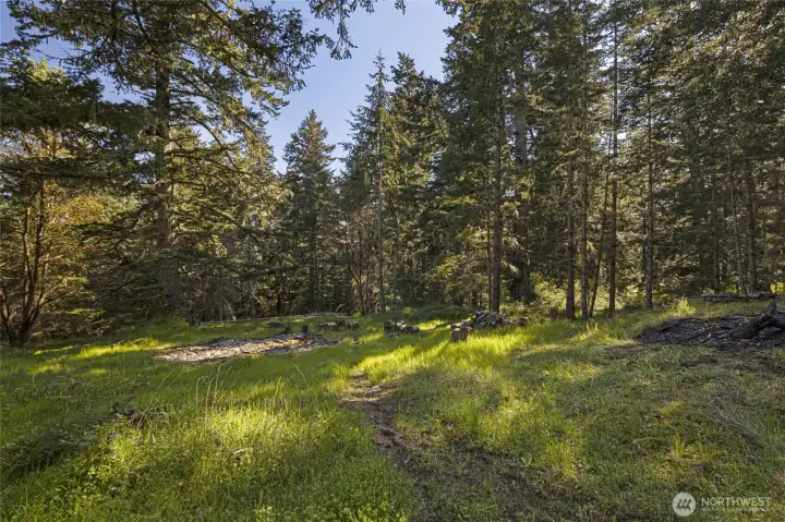 Peaceful open clearing surrounded by towering firs and madronas creates an ideal gathering space for relaxing and enjoying the quiet beauty of San Juan Island.