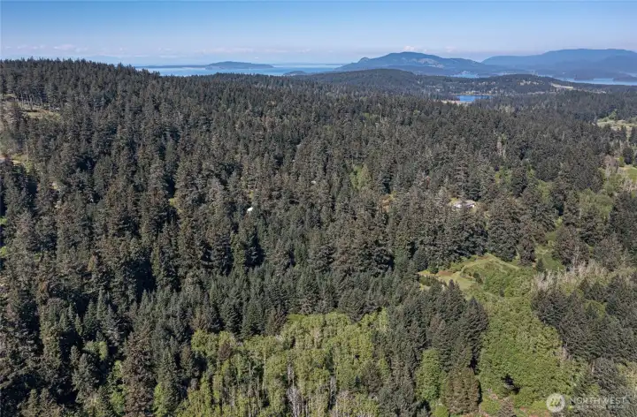 Private and peaceful acreage just minutes from Friday Harbor, offering a rare opportunity to build your dream home or island retreat in the Pacific Northwest.