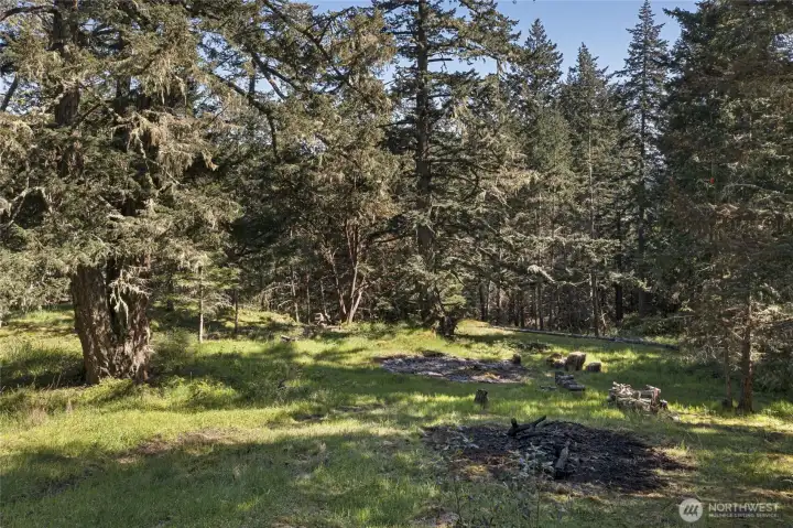 Peaceful wooded surroundings create a true Pacific Northwest retreat with privacy, sun exposure, and room to explore.