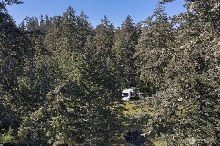 Secluded acreage surrounded by towering evergreens and natural beauty, creating the ideal setting for a peaceful San Juan Island lifestyle.