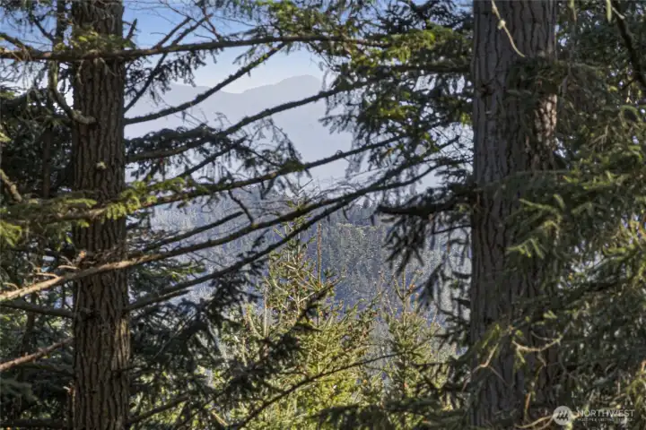 Potential Olympic Mountain and territorial views create a stunning backdrop for your future island retreat or dream home.
