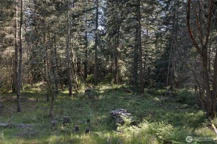 Mature firs, moss-covered rock outcroppings, and native vegetation create a timeless island landscape filled with Pacific Northwest character.