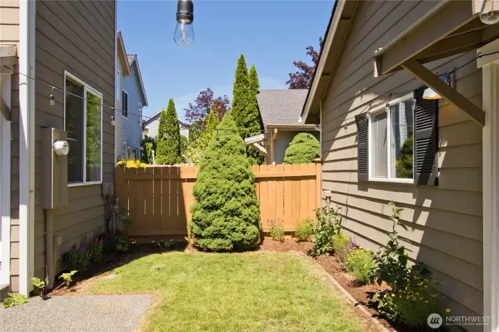 Backyard area. Backyard area.