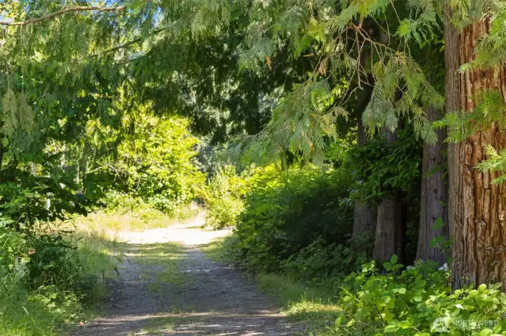 Lovely Trail winds from Orchard to the Lake Lovely Trail winds from Orchard to the Lake