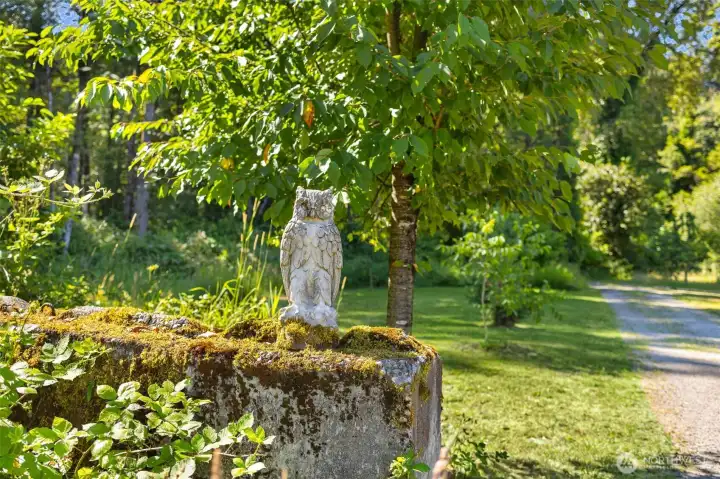 Wise Old Owl stands guard of this Oasis Wise Old Owl stands guard of this Oasis