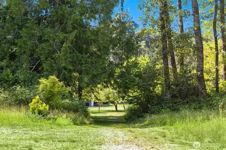 Open meadows punctuate the property Open meadows punctuate the property