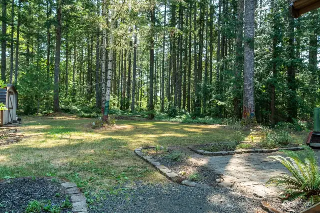 Back yard of main lot showing greenbelt beyond.