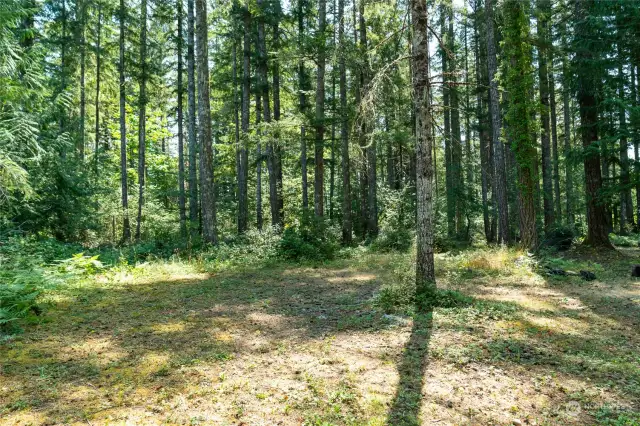 View of greenbelt from extra lot.