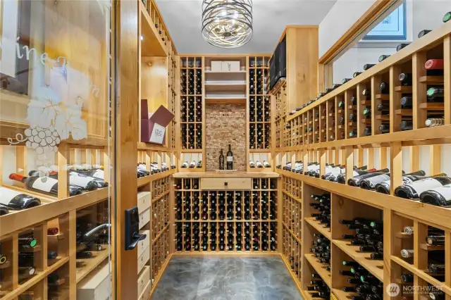 900+ wine cellar