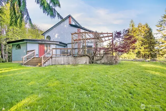Back Yard