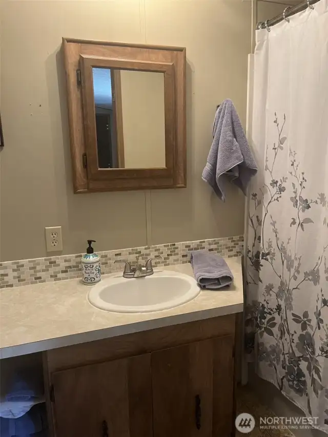 Bathtub shower combo