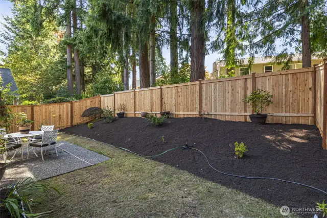 Beautifully maintained back yard