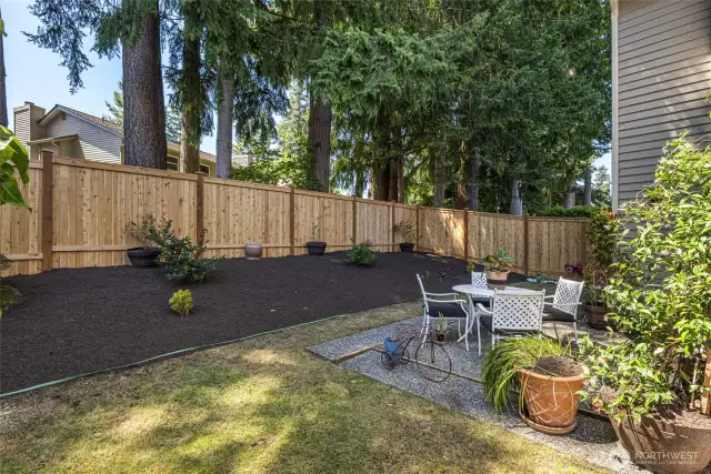 Beautifully maintained back yard