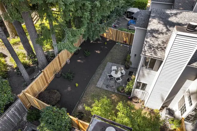 Beautifully maintained back yard