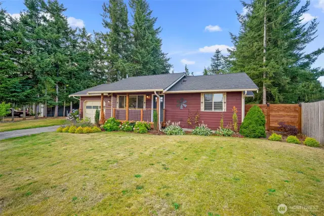 Large lot with evergreen trees