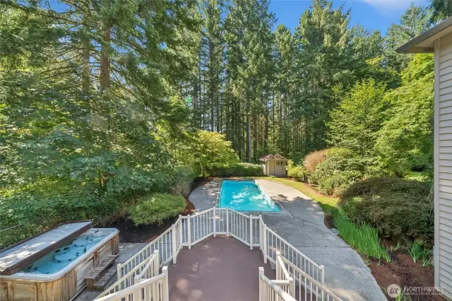 View from Deck