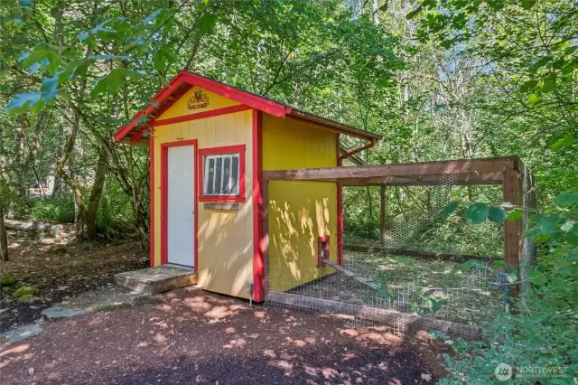 Chicken Coop