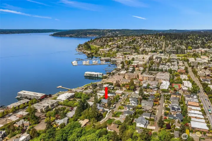 2nd Street S off 7th is one of Kirklands BEST kept secret streets. An exclusive dead end street flanked by a protected greenbelt provides a serenity not achievable in any other location within a short walk to downtown Kirkland. This is a very special place to live