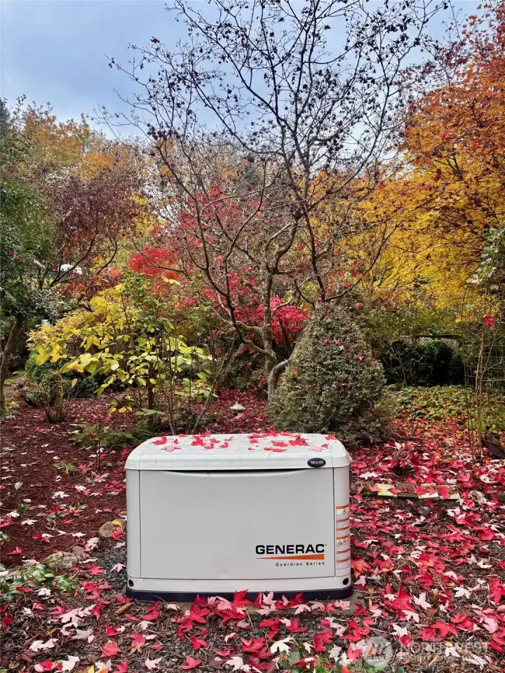 Generac whole-house generator included - on demand system.